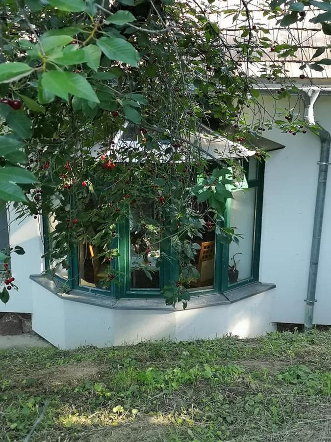 Vila Nyugalomsziget Kotcse Exteriér fotografie