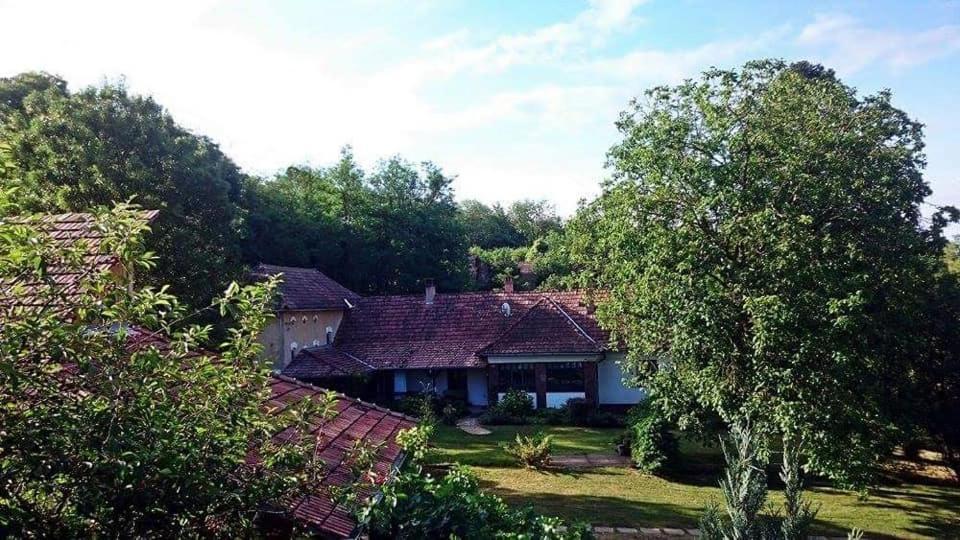 Vila Nyugalomsziget Kotcse Exteriér fotografie