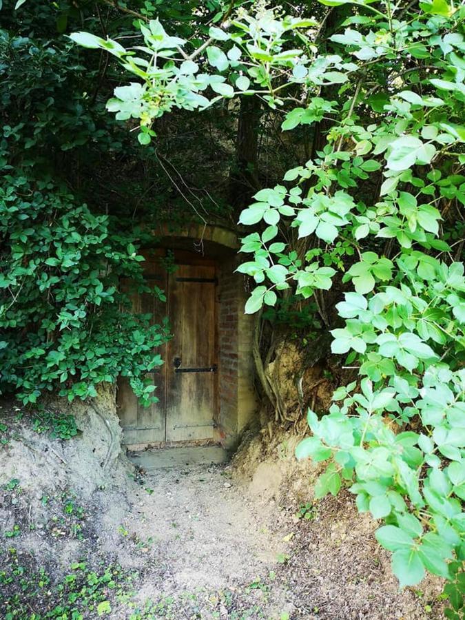 Vila Nyugalomsziget Kotcse Exteriér fotografie