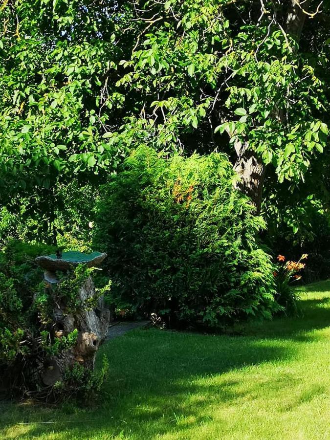 Vila Nyugalomsziget Kotcse Exteriér fotografie
