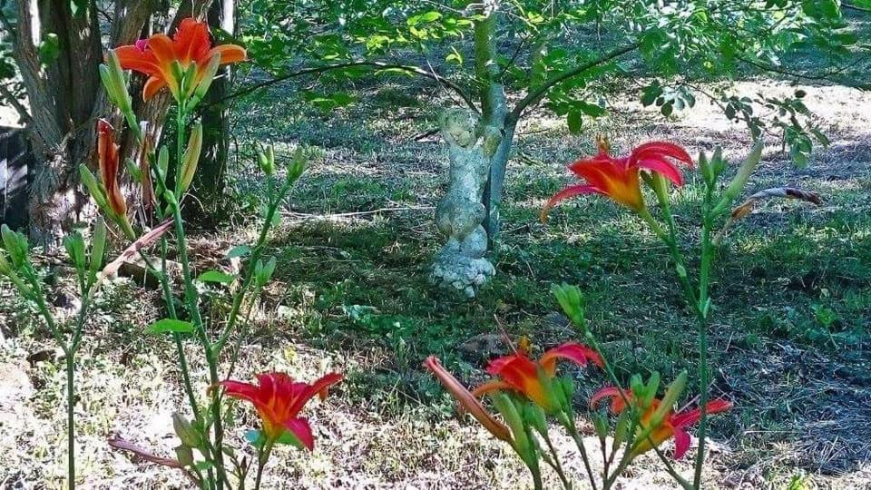 Vila Nyugalomsziget Kotcse Exteriér fotografie