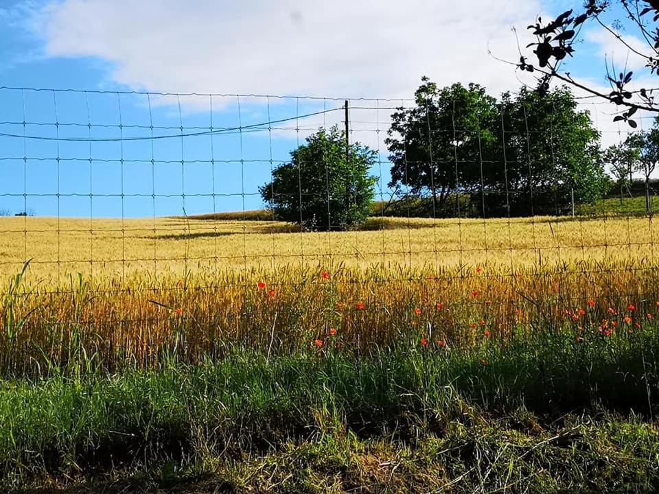 Vila Nyugalomsziget Kotcse Exteriér fotografie