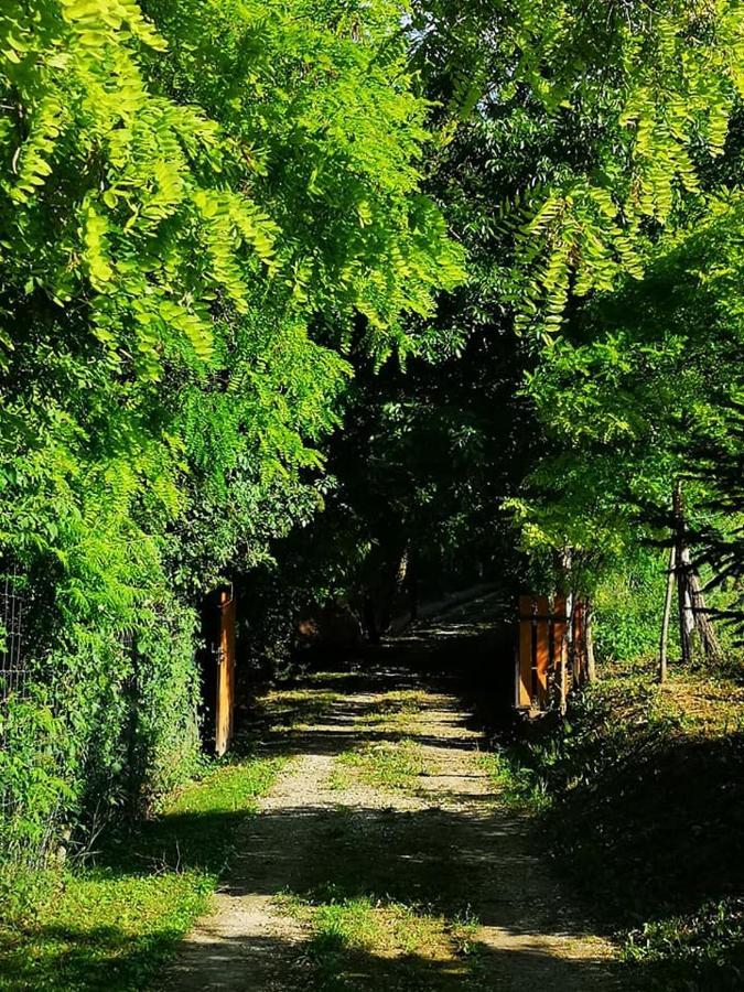 Vila Nyugalomsziget Kotcse Exteriér fotografie